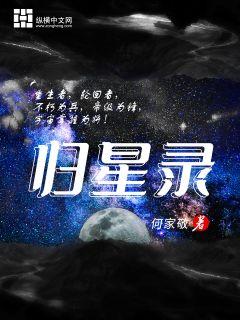 归星录